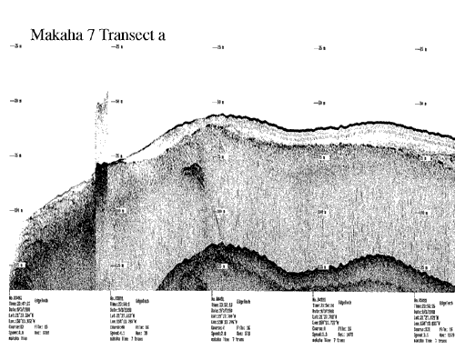 Subbottom profile showing seafloor and subsurface sediment detail and features