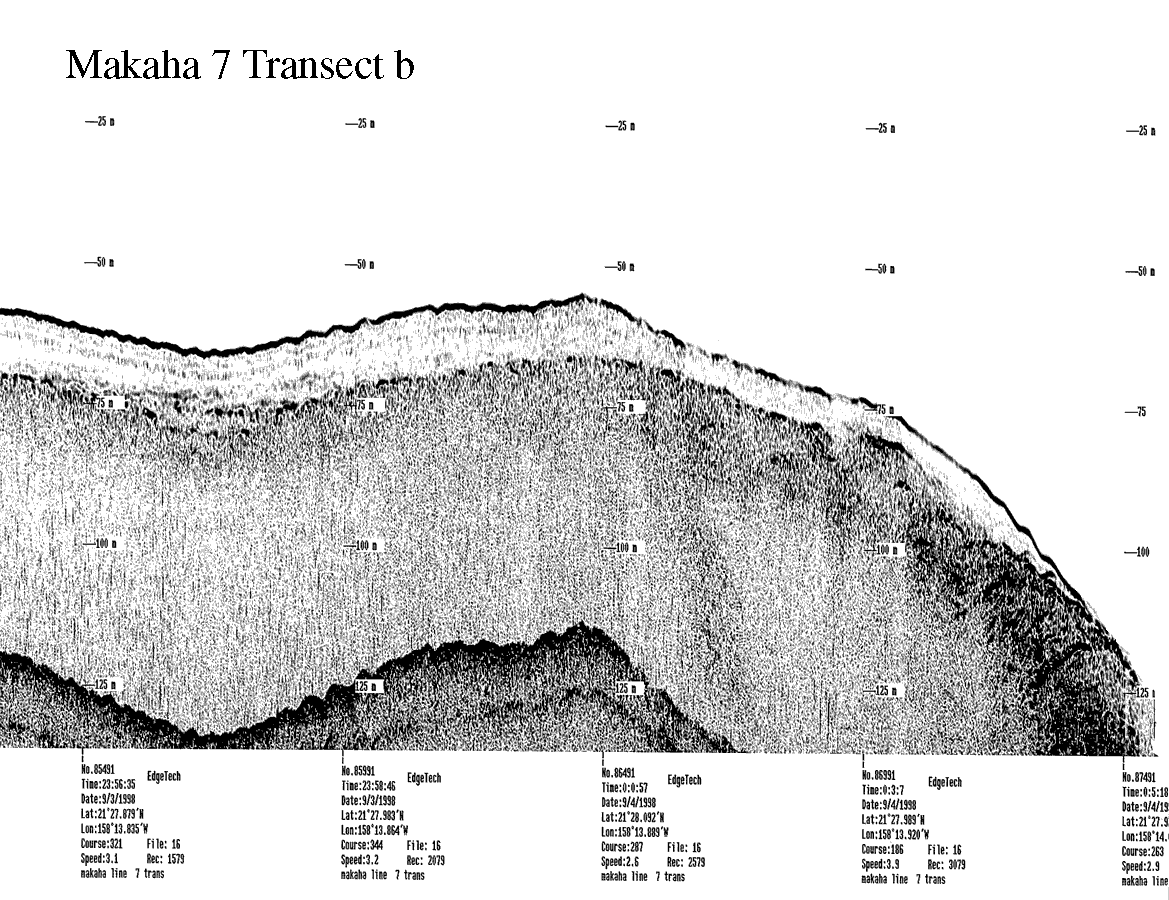 Subbottom profile showing seafloor and subsurface sediment detail and features