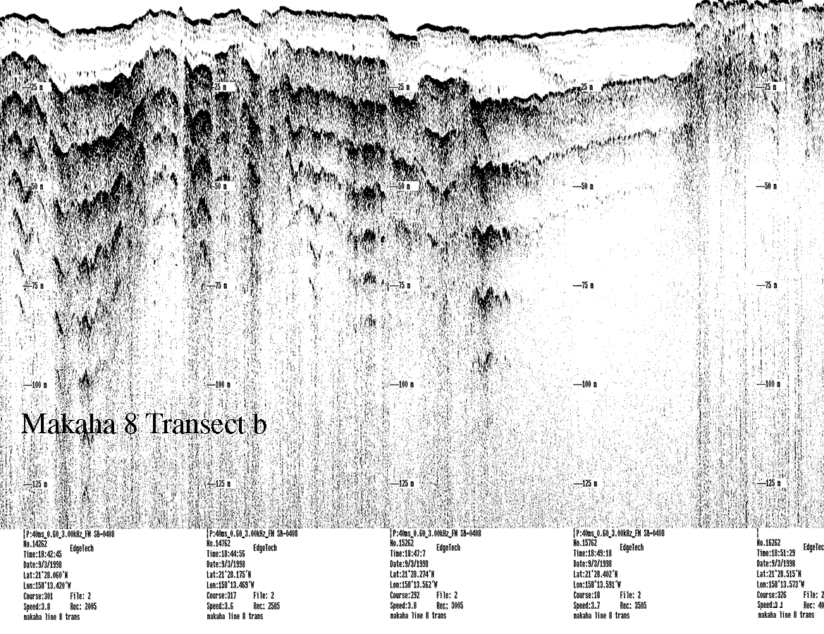 Subbottom profile showing seafloor and subsurface sediment detail and features