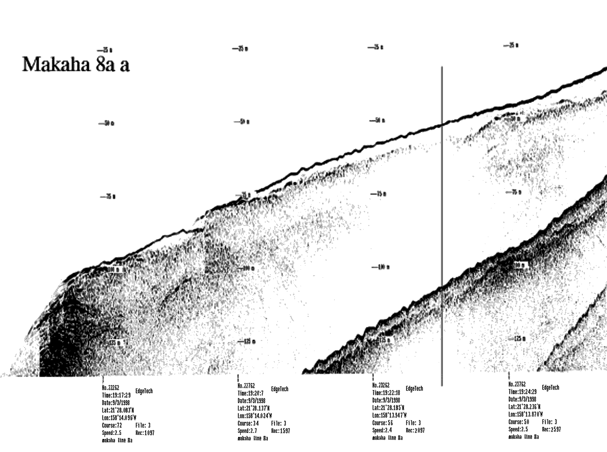 Subbottom profile showing seafloor and subsurface sediment detail and features