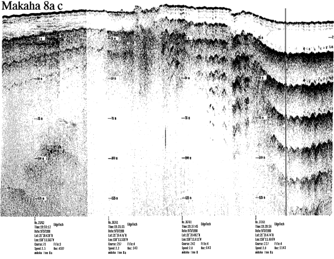 Subbottom profile showing seafloor and subsurface sediment detail and features