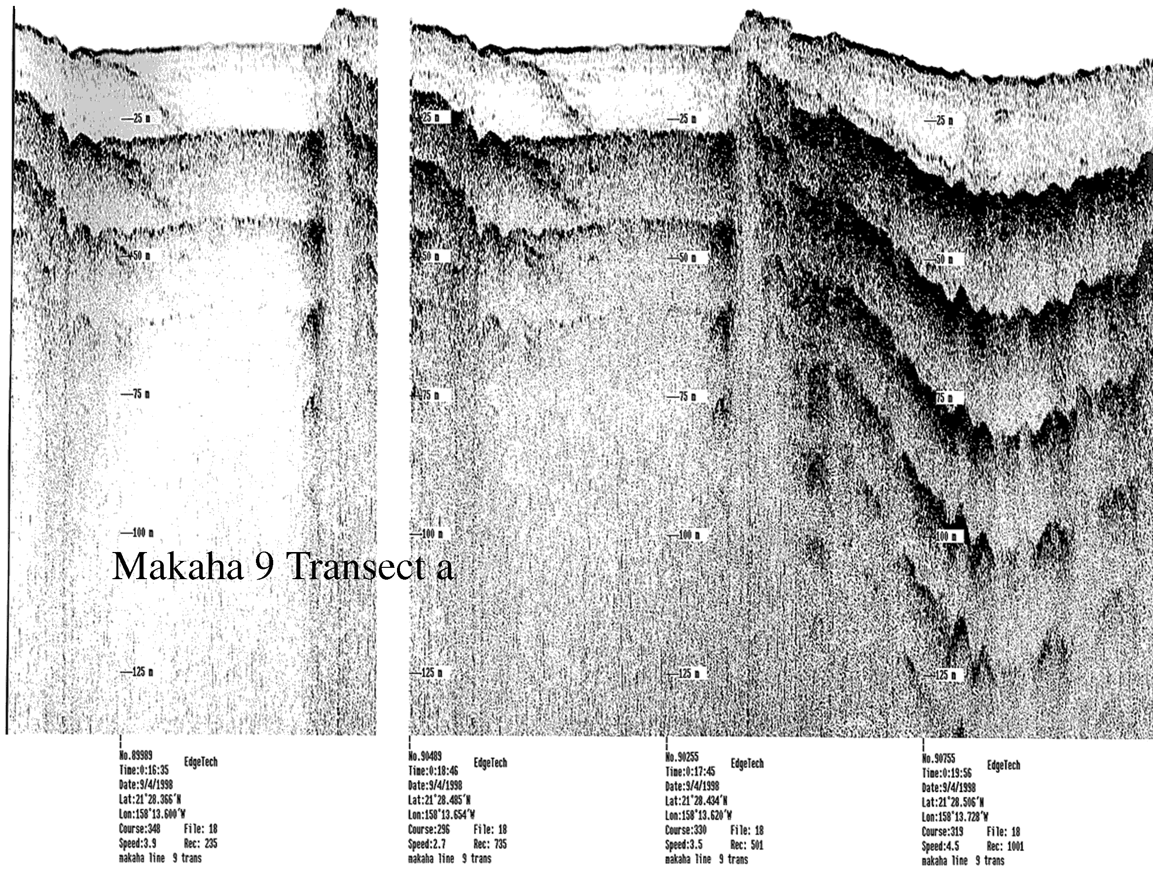 Subbottom profile showing seafloor and subsurface sediment detail and features