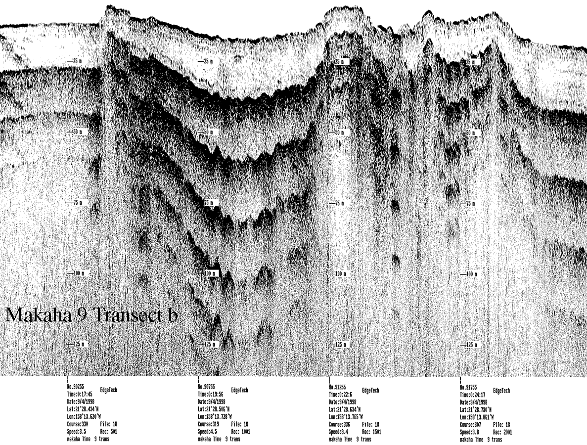 Subbottom profile showing seafloor and subsurface sediment detail and features