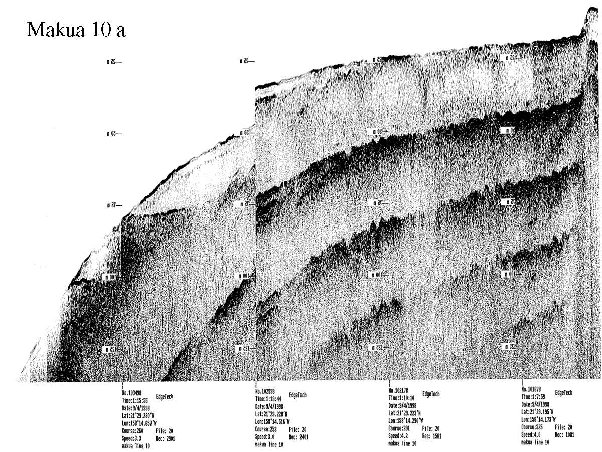 Subbottom profile showing seafloor and subsurface sediment detail and features