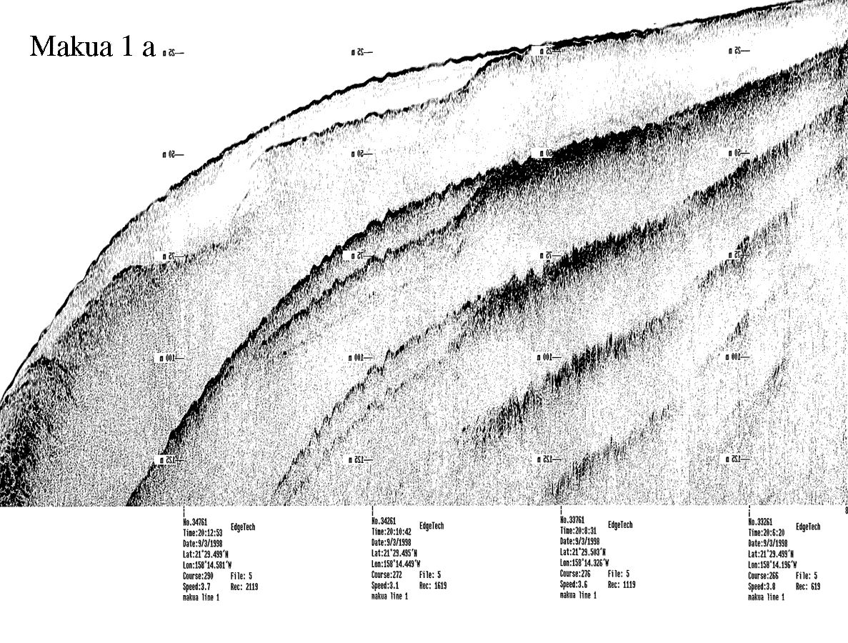 Subbottom profile showing seafloor and subsurface sediment detail and features