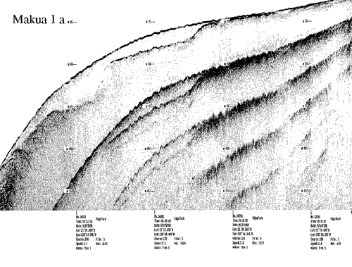 Subbottom profile showing seafloor and subsurface sediment detail and features