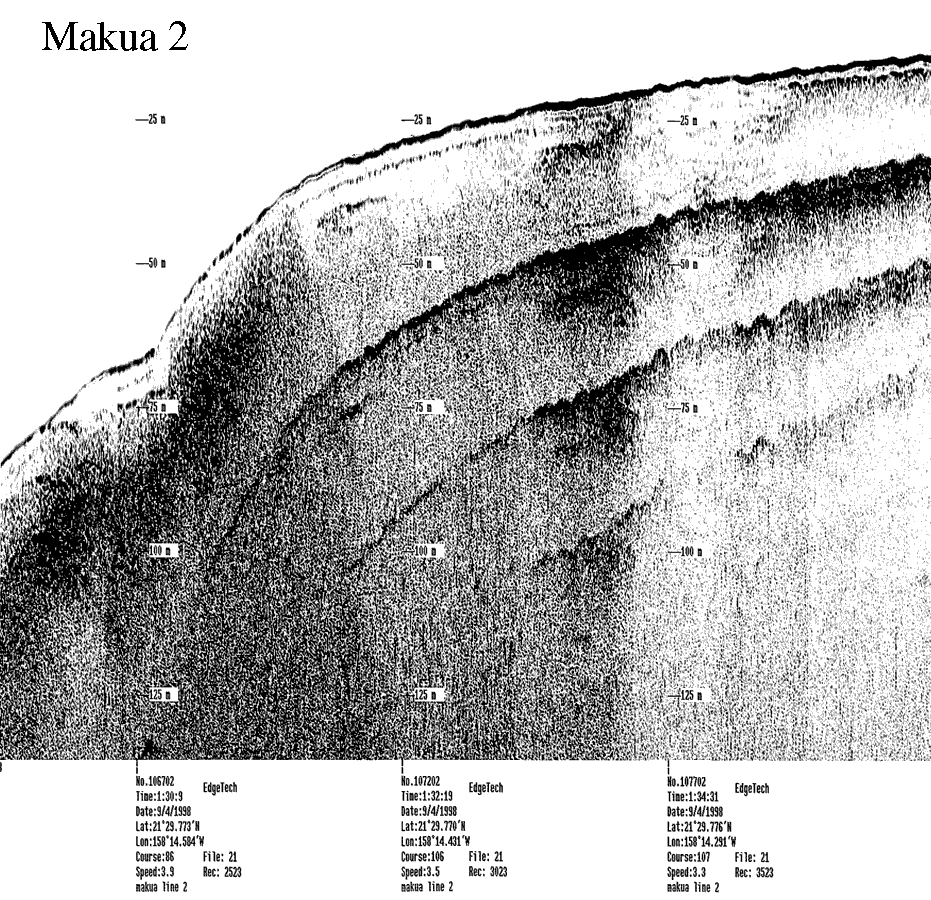 Subbottom profile showing seafloor and subsurface sediment detail and features