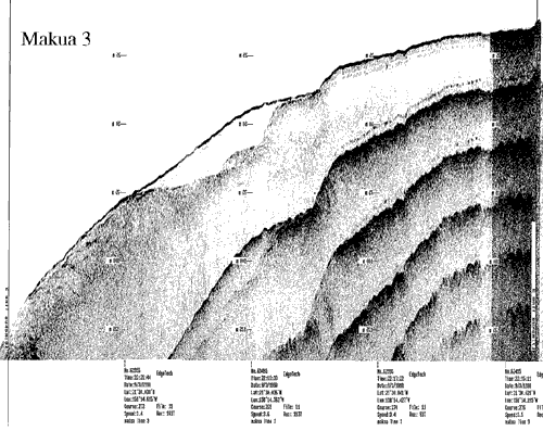 Subbottom profile showing seafloor and subsurface sediment detail and features