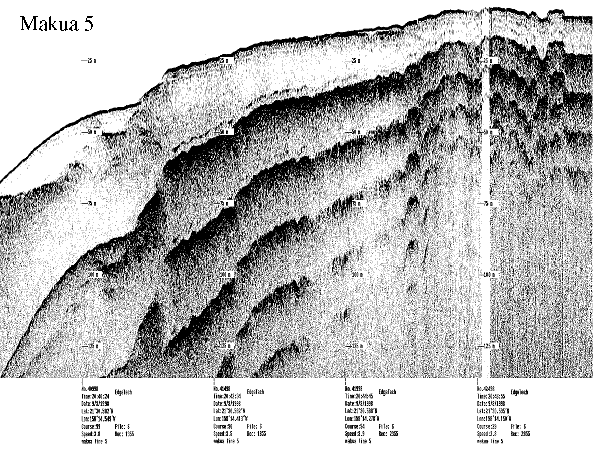 Subbottom profile showing seafloor and subsurface sediment detail and features