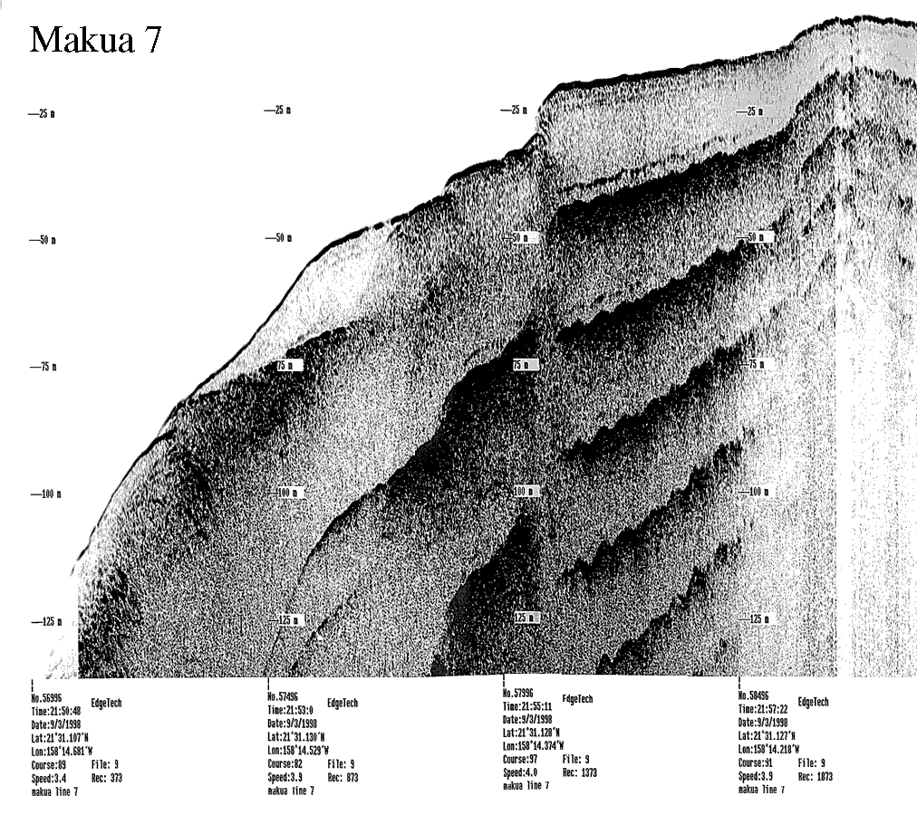 Subbottom profile showing seafloor and subsurface sediment detail and features