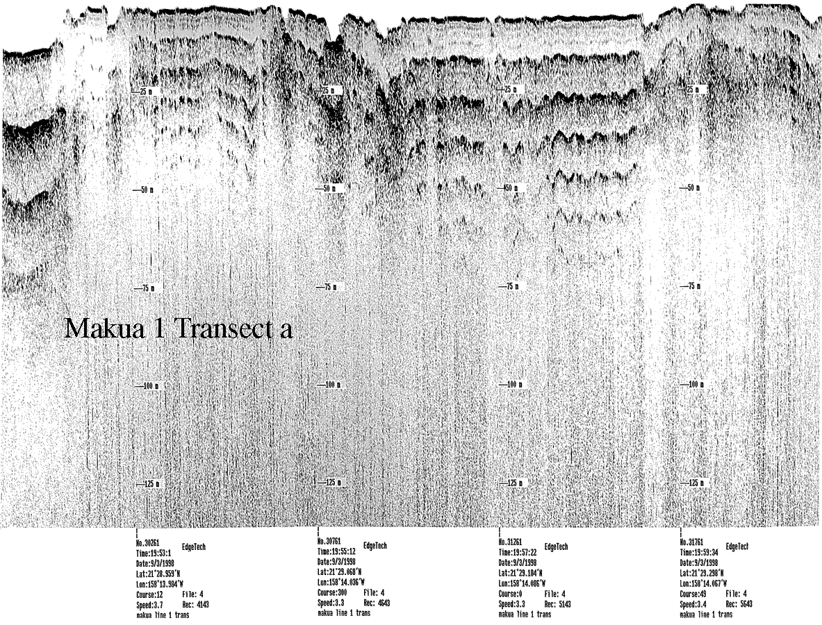 Subbottom profile showing seafloor and subsurface sediment detail and features