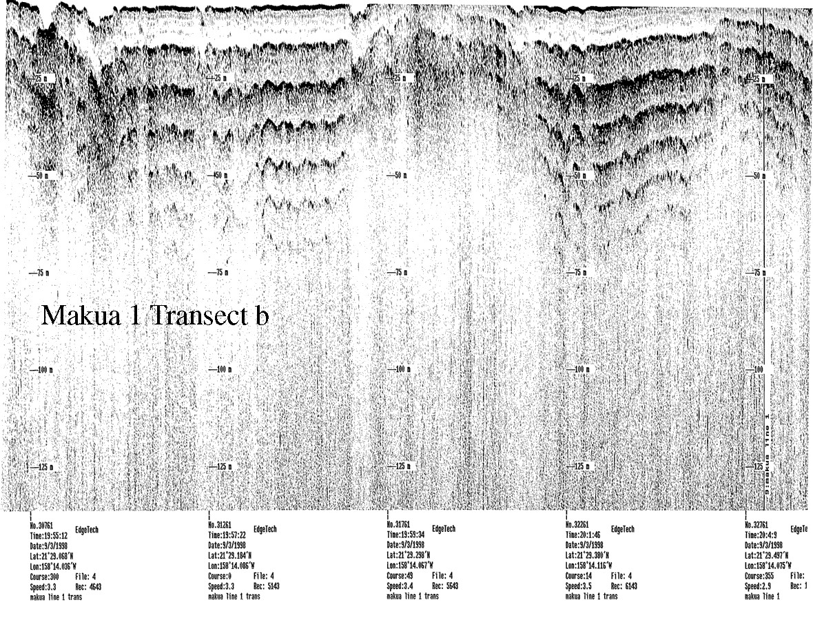 Subbottom profile showing seafloor and subsurface sediment detail and features