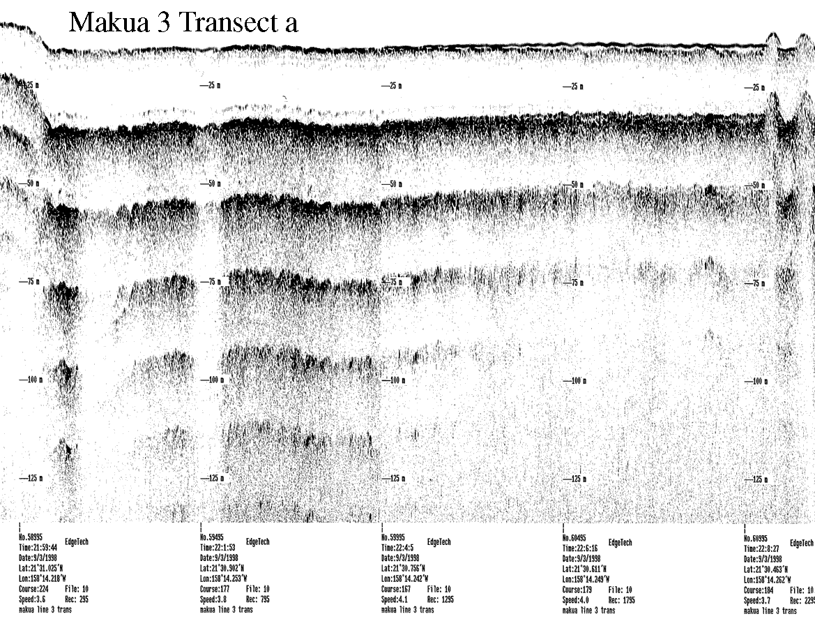 Subbottom profile showing seafloor and subsurface sediment detail and features