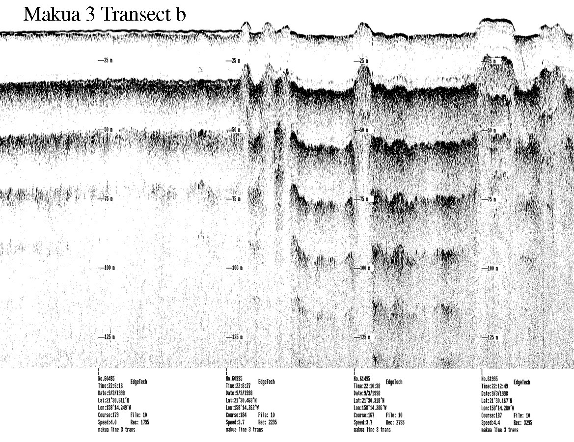 Subbottom profile showing seafloor and subsurface sediment detail and features