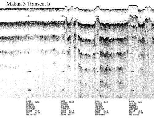 Subbottom profile showing seafloor and subsurface sediment detail and features