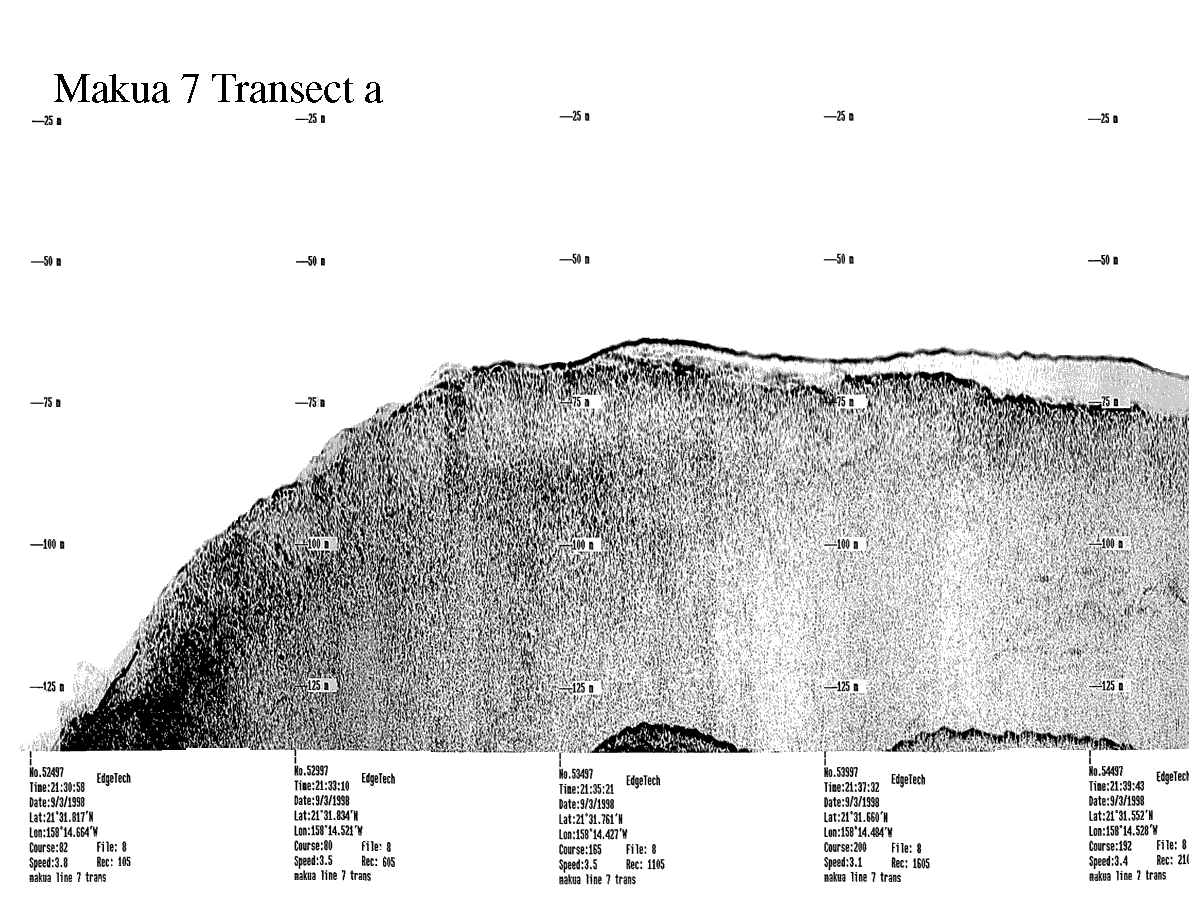 Subbottom profile showing seafloor and subsurface sediment detail and features