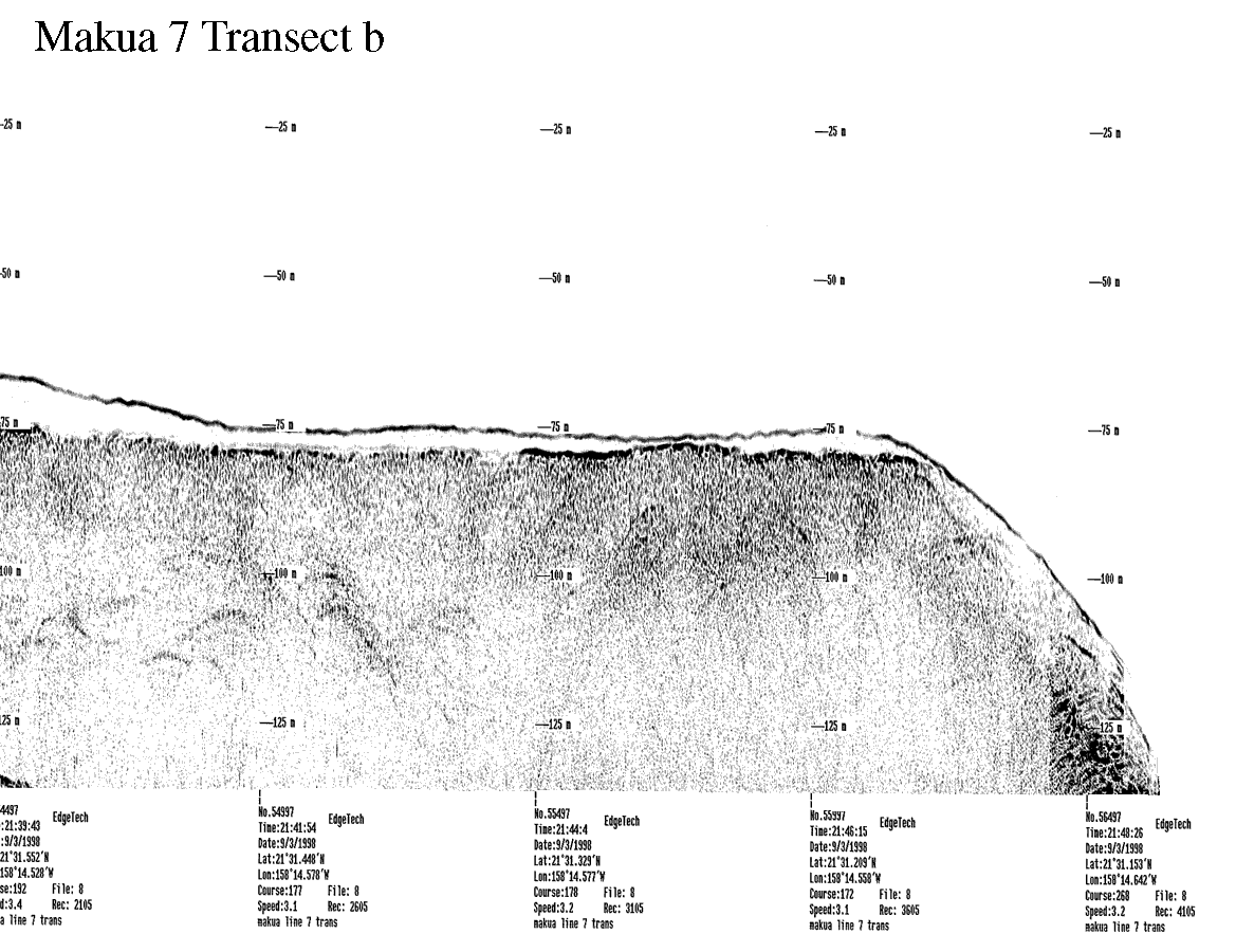 Subbottom profile showing seafloor and subsurface sediment detail and features