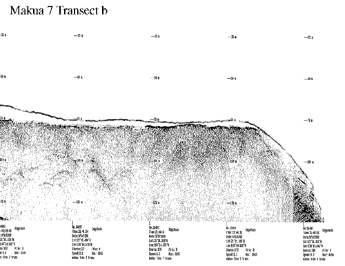 Subbottom profile showing seafloor and subsurface sediment detail and features