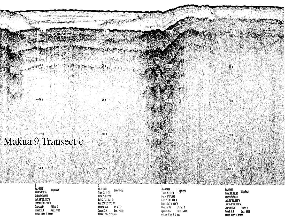 Subbottom profile showing seafloor and subsurface sediment detail and features