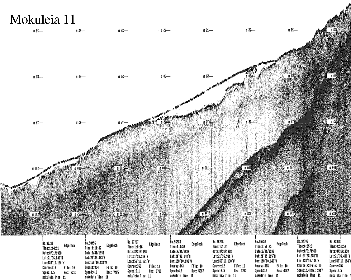 Subbottom profile showing seafloor and subsurface sediment detail and features