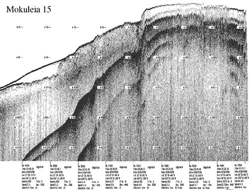 Subbottom profile showing seafloor and subsurface sediment detail and features