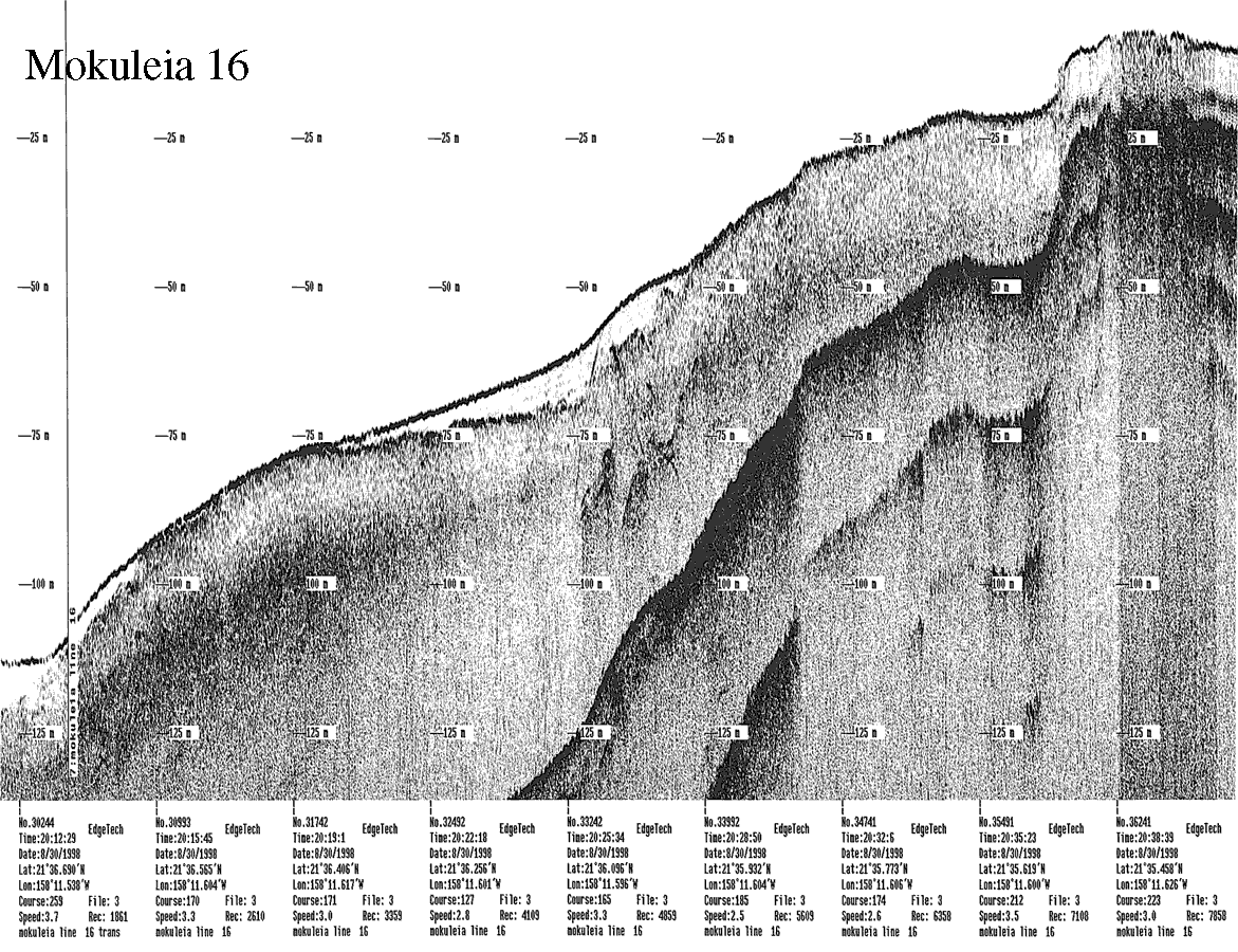 Subbottom profile showing seafloor and subsurface sediment detail and features