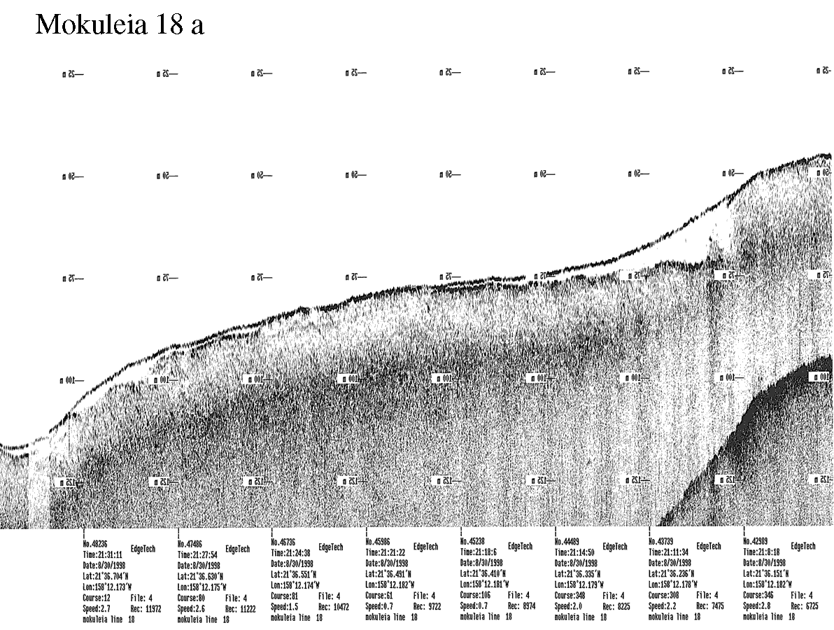 Subbottom profile showing seafloor and subsurface sediment detail and features