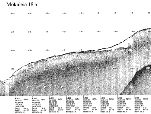 Subbottom profile showing seafloor and subsurface sediment detail and features