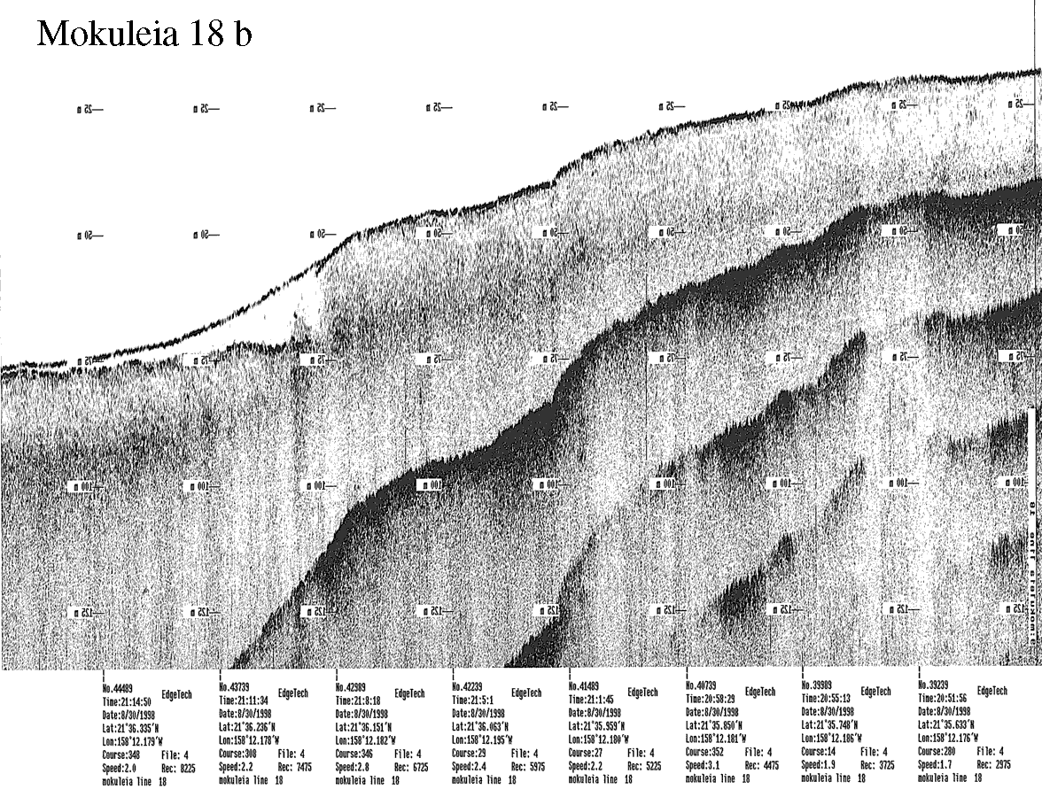 Subbottom profile showing seafloor and subsurface sediment detail and features