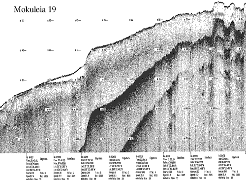 Subbottom profile showing seafloor and subsurface sediment detail and features