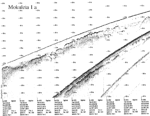 Subbottom profile showing seafloor and subsurface sediment detail and features