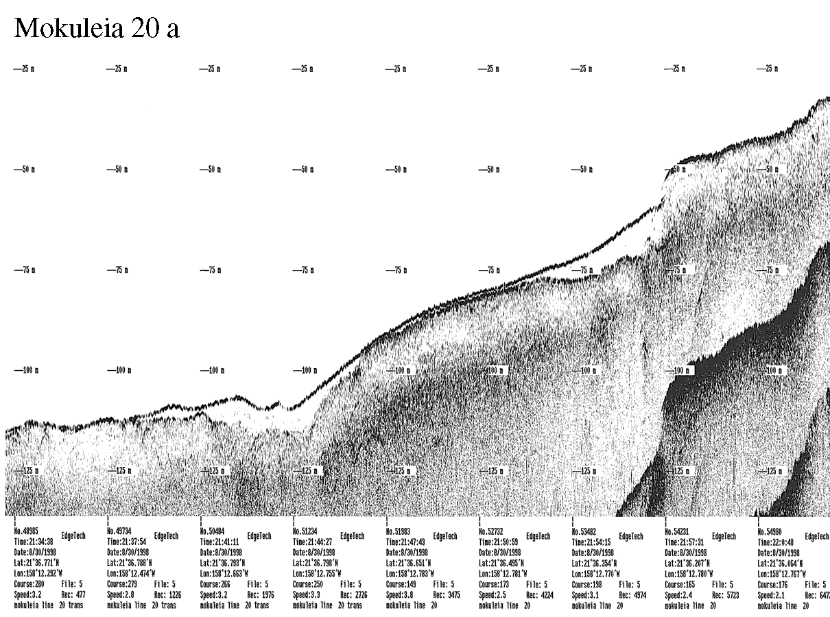 Subbottom profile showing seafloor and subsurface sediment detail and features