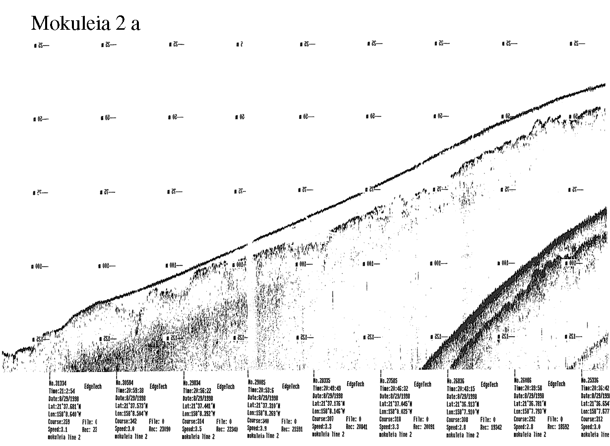 Subbottom profile showing seafloor and subsurface sediment detail and features