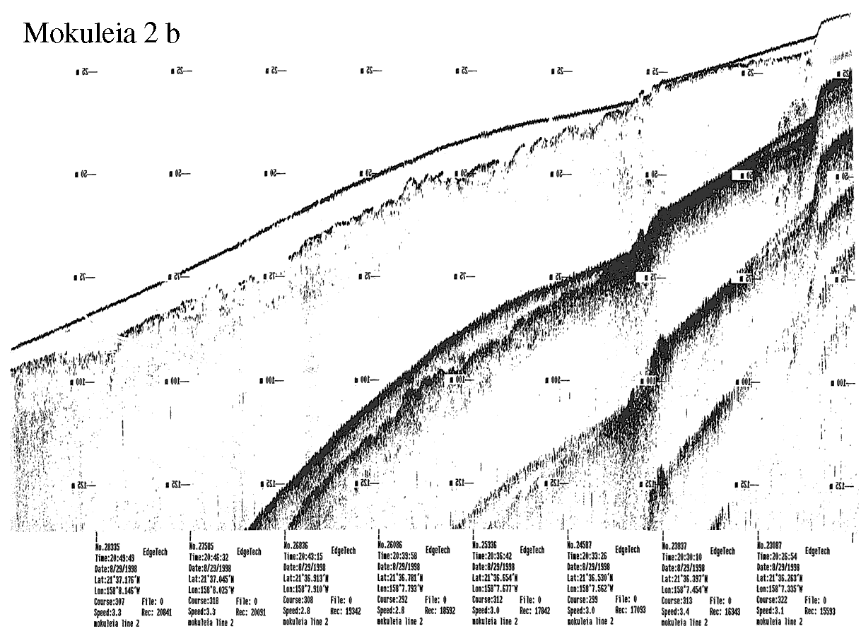 Subbottom profile showing seafloor and subsurface sediment detail and features