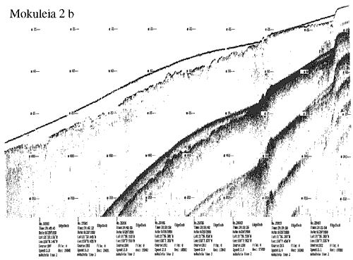 Subbottom profile showing seafloor and subsurface sediment detail and features