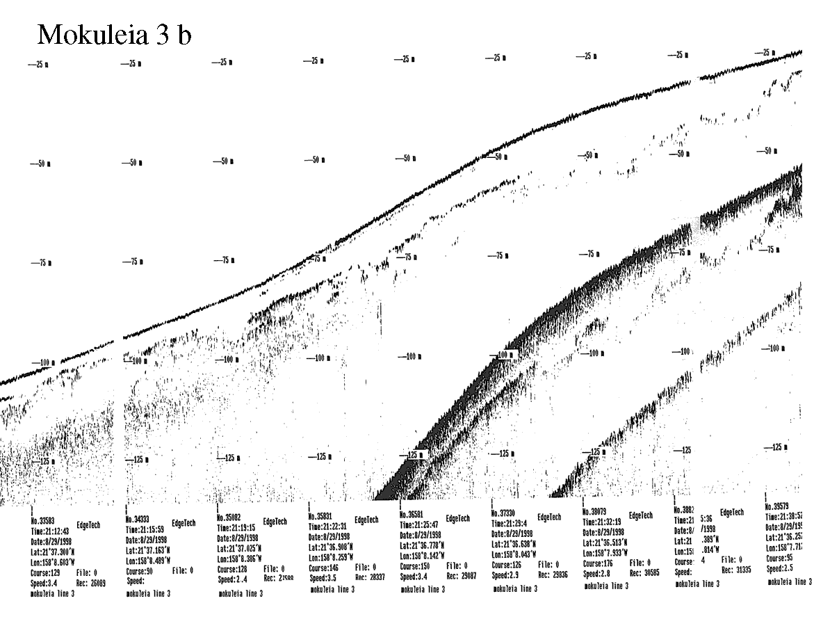 Subbottom profile showing seafloor and subsurface sediment detail and features