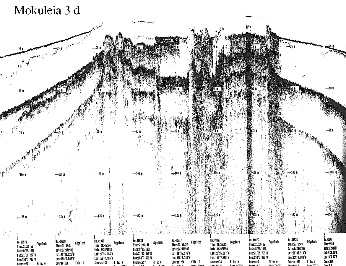 Subbottom profile showing seafloor and subsurface sediment detail and features