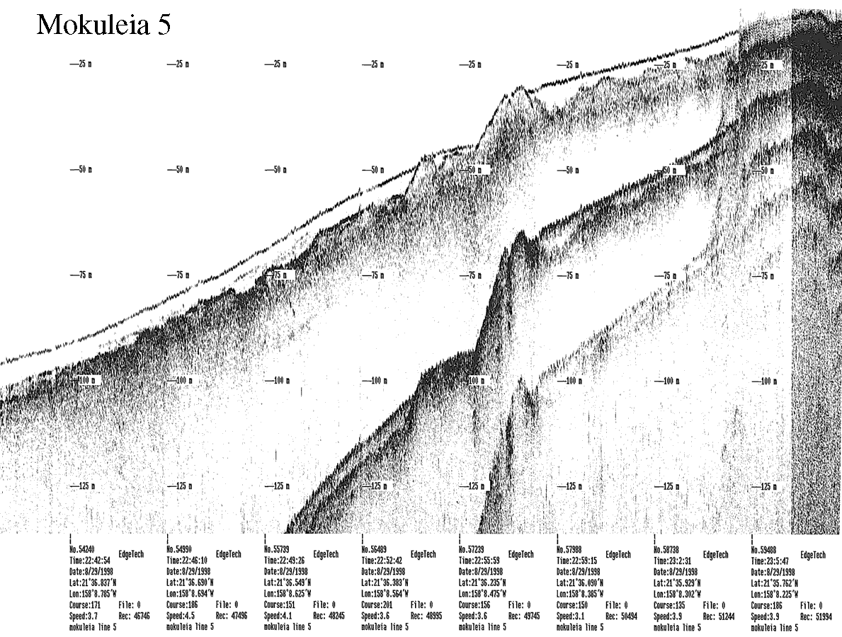 Subbottom profile showing seafloor and subsurface sediment detail and features