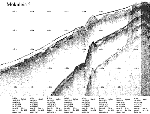 Subbottom profile showing seafloor and subsurface sediment detail and features