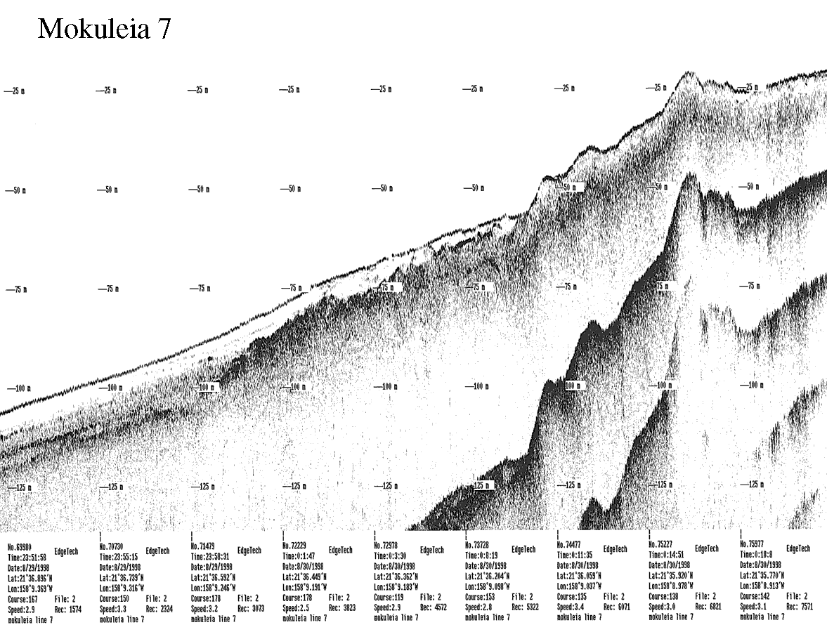 Subbottom profile showing seafloor and subsurface sediment detail and features