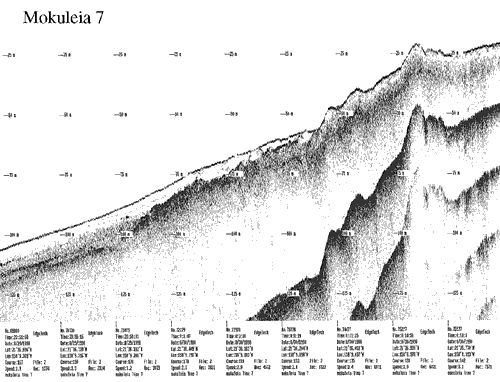 Subbottom profile showing seafloor and subsurface sediment detail and features