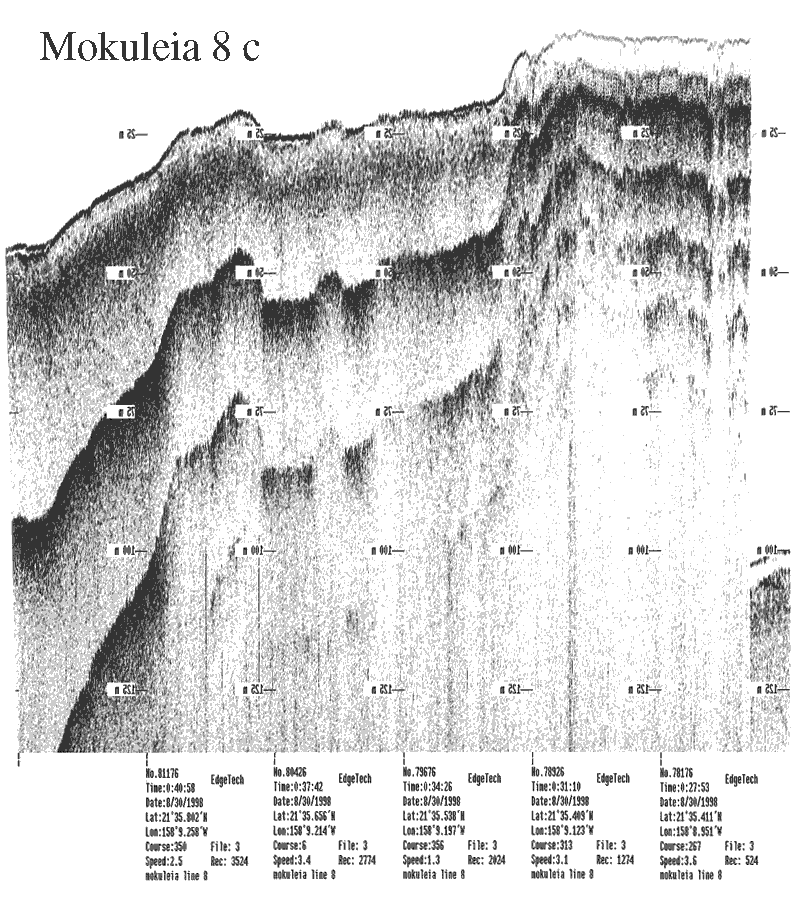 Subbottom profile showing seafloor and subsurface sediment detail and features