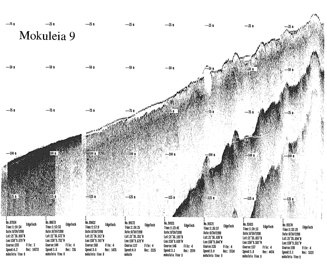 Subbottom profile showing seafloor and subsurface sediment detail and features