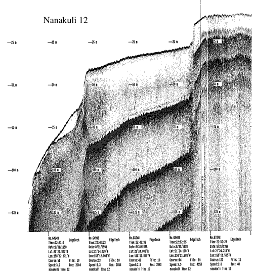 Subbottom profile showing seafloor and subsurface sediment detail and features