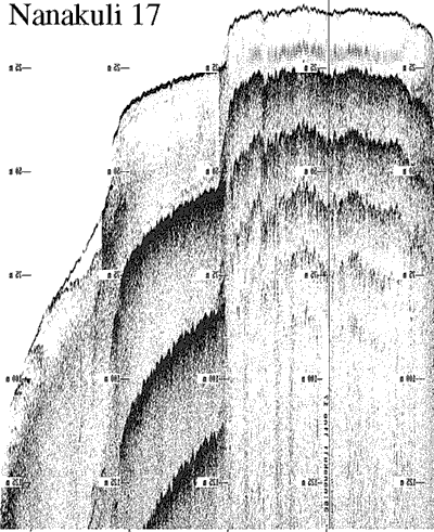 Subbottom profile showing seafloor and subsurface sediment detail and features