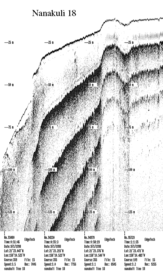 Subbottom profile showing seafloor and subsurface sediment detail and features