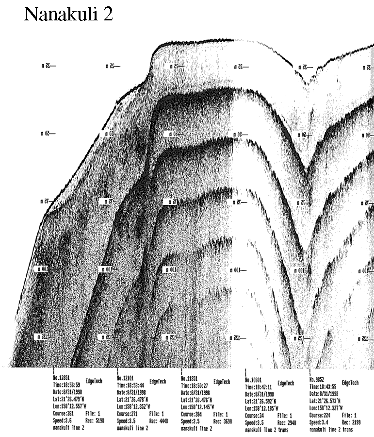 Subbottom profile showing seafloor and subsurface sediment detail and features