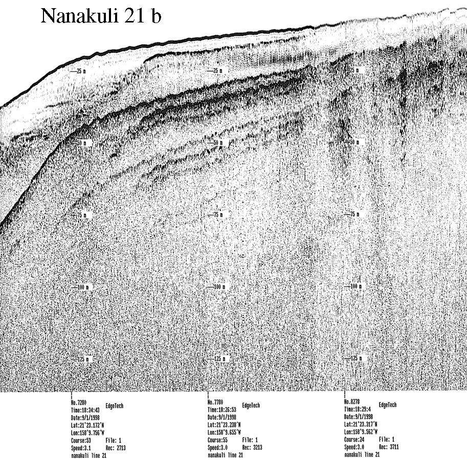 Subbottom profile showing seafloor and subsurface sediment detail and features