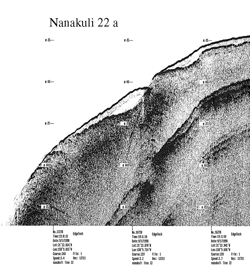 Subbottom profile showing seafloor and subsurface sediment detail and features