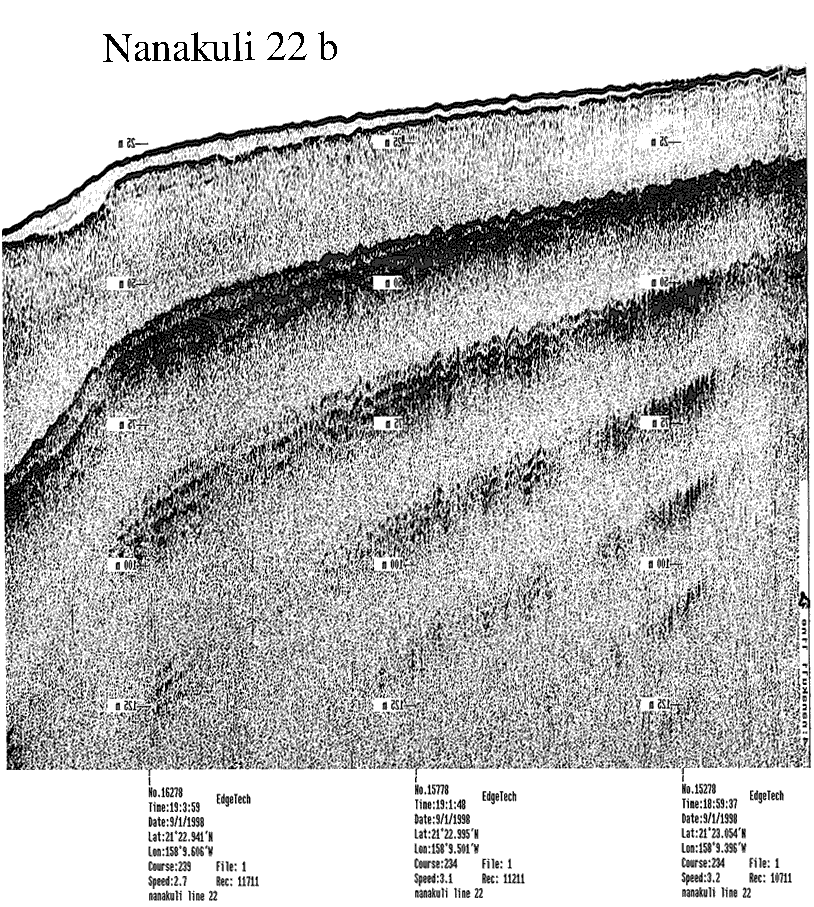 Subbottom profile showing seafloor and subsurface sediment detail and features